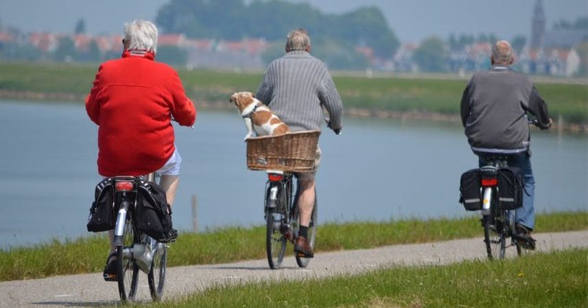 how to improve stability