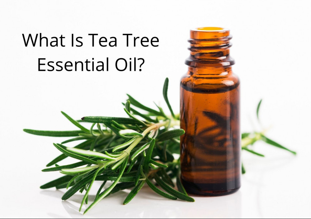 what is tea tree essential oil