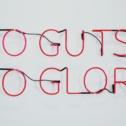 the link between gut health and aging