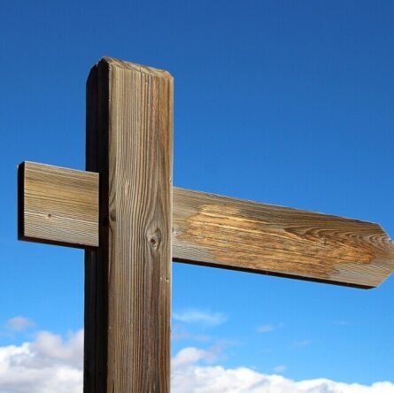 choosing the right path in life