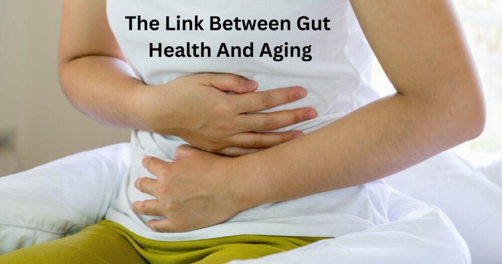 The Link Between Gut Health And Aging