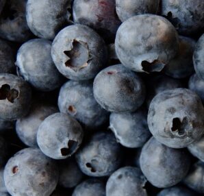 what are the most healthy foods