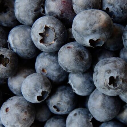 what are the most healthy foods
