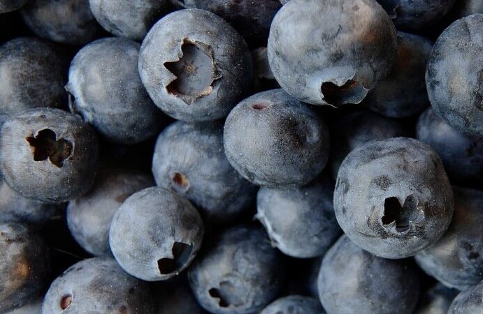 what are the most healthy foods