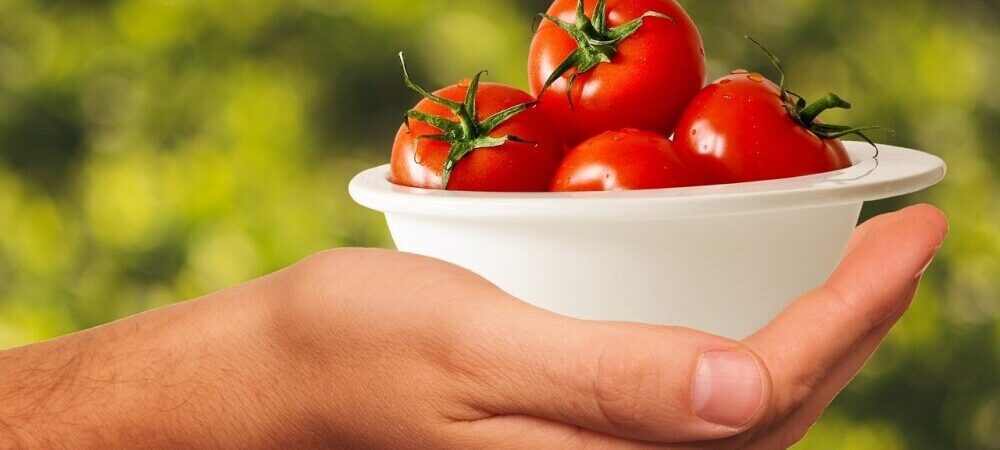 beginners guide to eating healthy