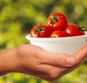 beginners guide to eating healthy