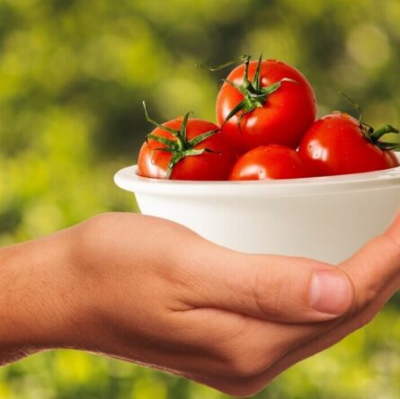 beginners guide to eating healthy