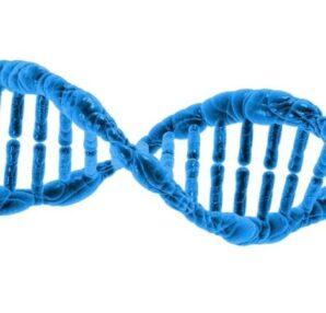 simply vital anti aging benefits