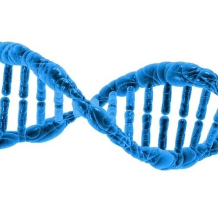 simply vital anti aging benefits